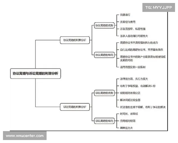 足球俱乐部出售合同细则与相关法律条款全面解析 足球俱乐部出售合同细则与相关法律条款全面解析