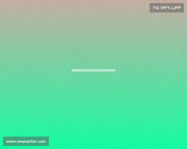 观众人数突破历史新高赛事盛况空前观众热情激增见证精彩时刻